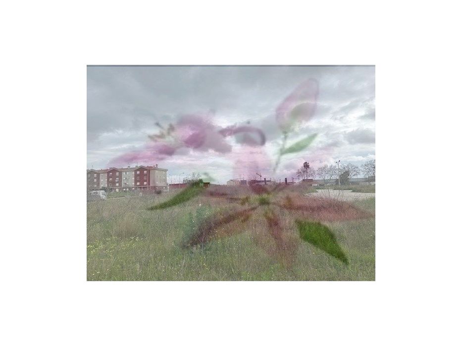 Montijo - 8 Lotes P/ Prédios - 80 Fogos