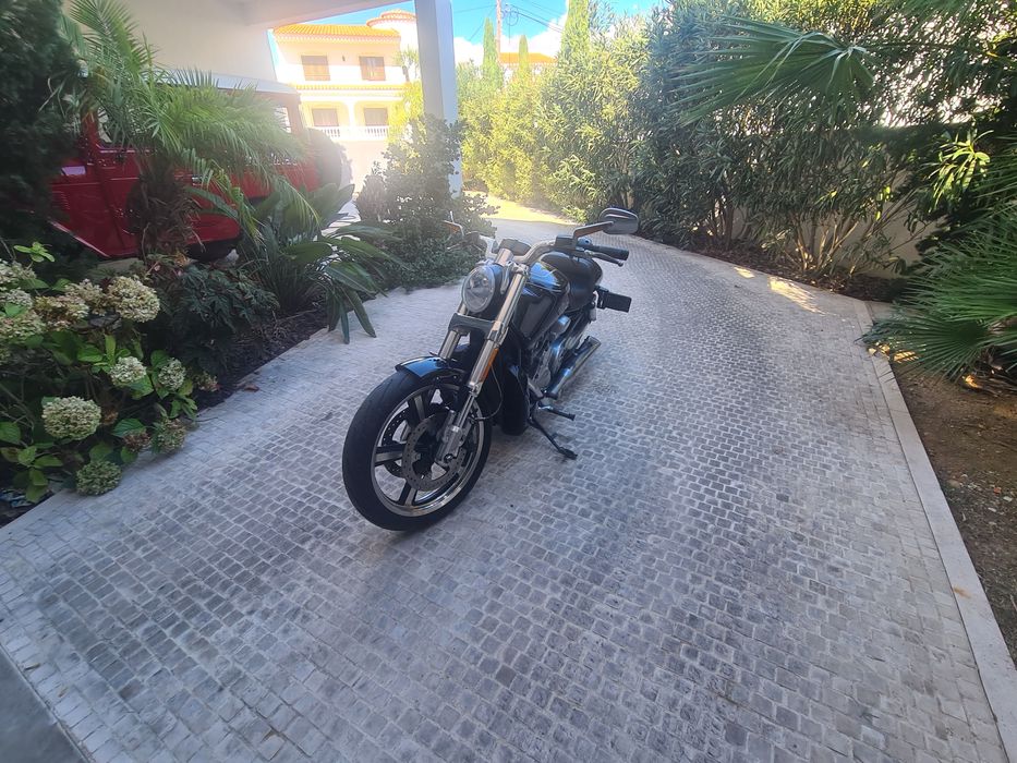 Harley Davidson V Road Muscle