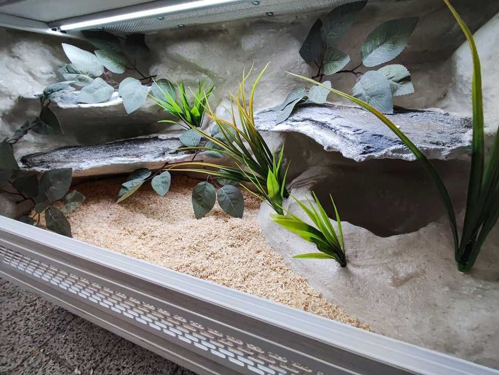 Terrarium tropikalne nr541 80/40/40 dla węża boa pyton NA ZAMÓWIENIE
