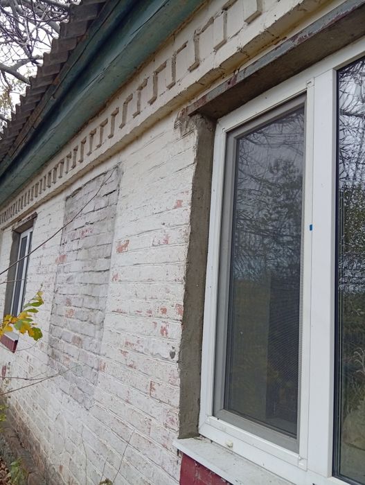 Продам будинок в селі Подорожнє