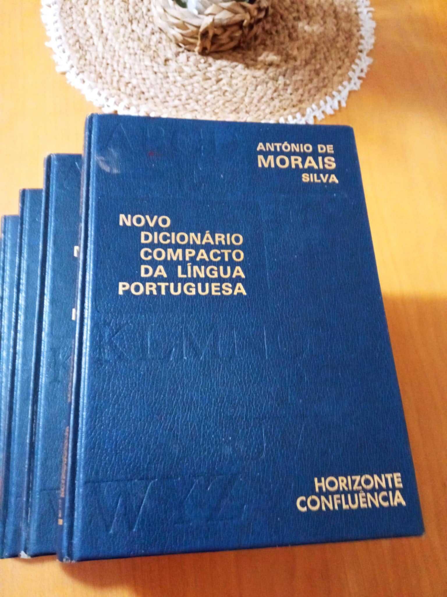 dicionário da língua portuguesa
