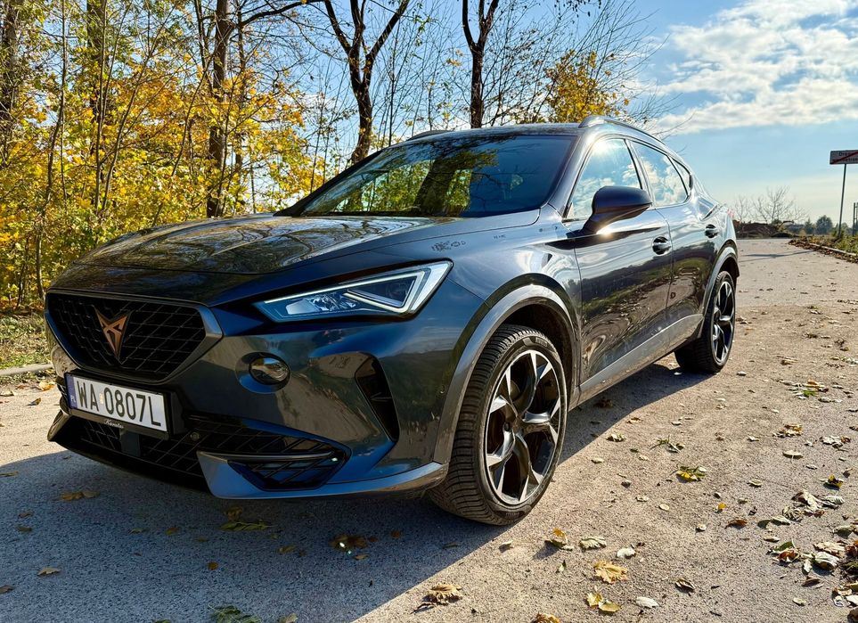 Cupra Formentor Cupra / Formentor / 12.2021 / 2.0 TDi / DSG / 4 Drive