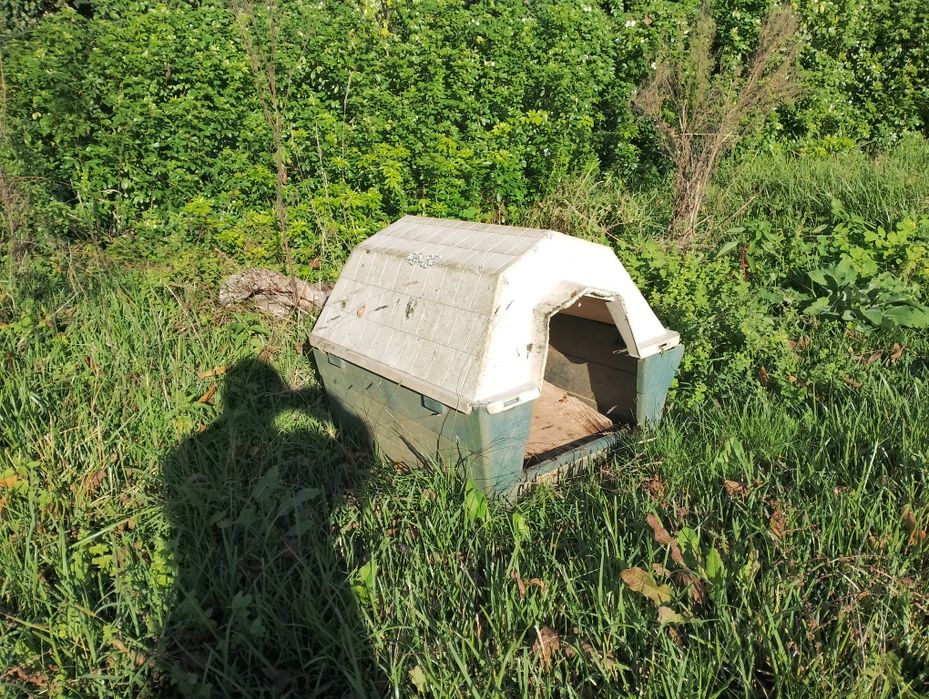 Casota em bom estado