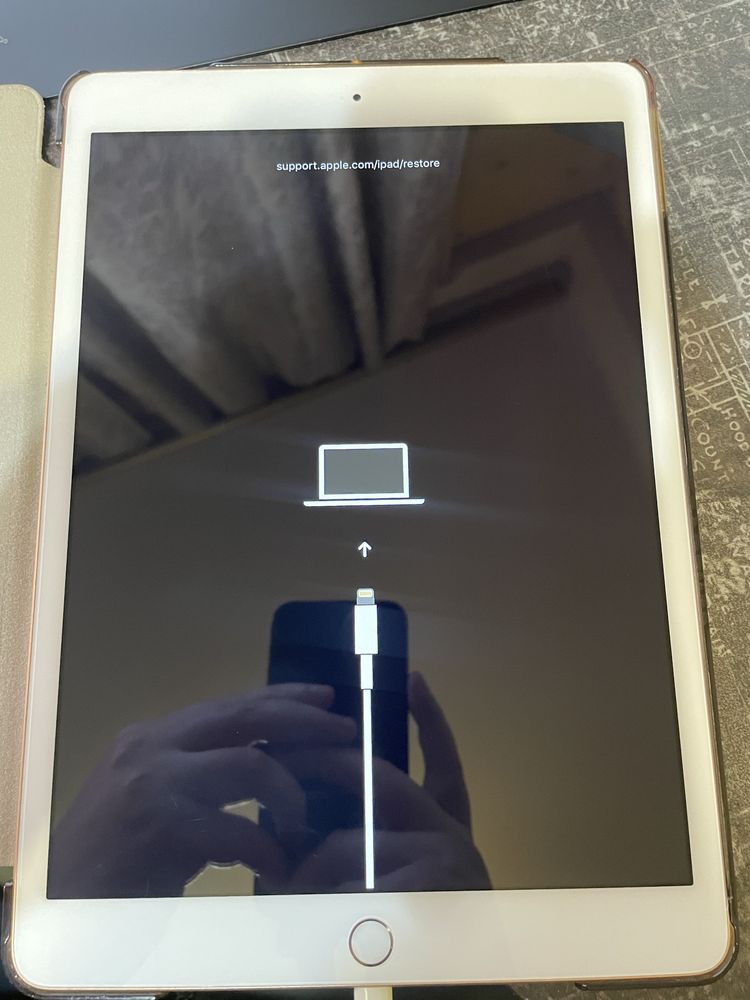 Ipad 7th 10.2 2019 Rose gold