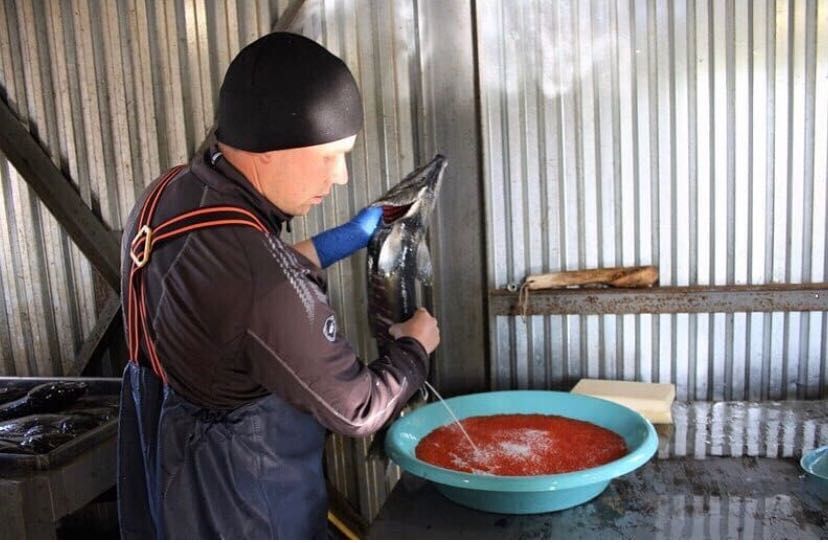 Ікра з риби вирощеної в бассейнах.