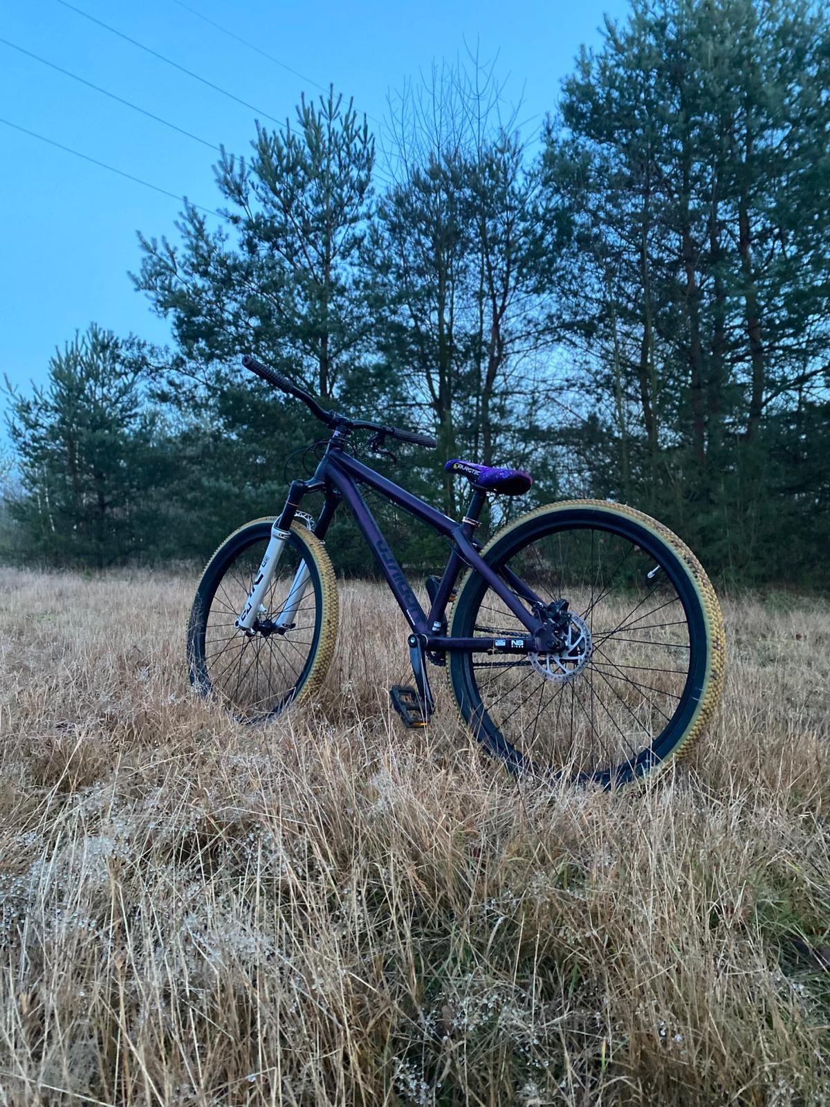 Ns BIKES zircus 2021