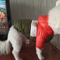 Продаю зимову куртку для собак