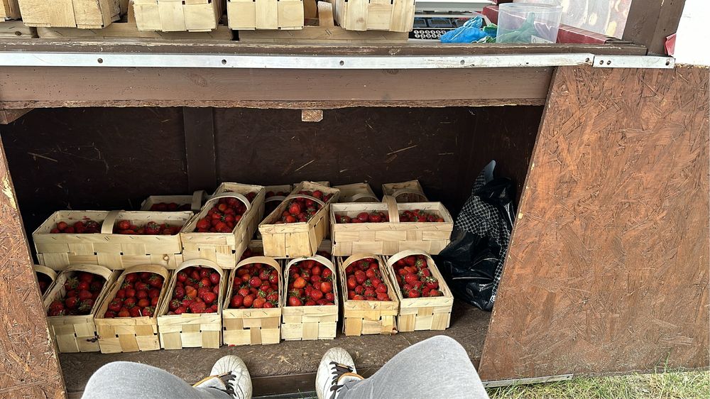 Stoisko handlowe do sprzedazy owoców miękkich