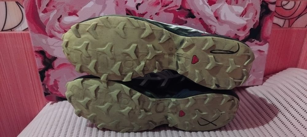 Кросівки Salomon Speed Cross 6 оригінал