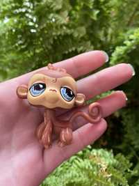 LPS Littlest pet shop małpka #485