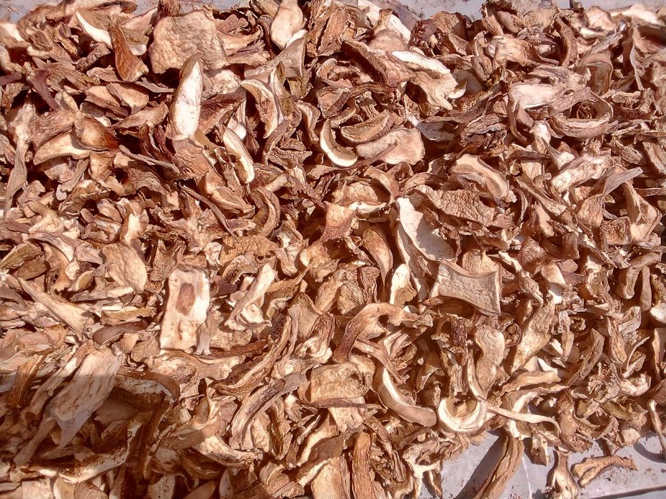 Сухі білі гриби,чорні та лисички