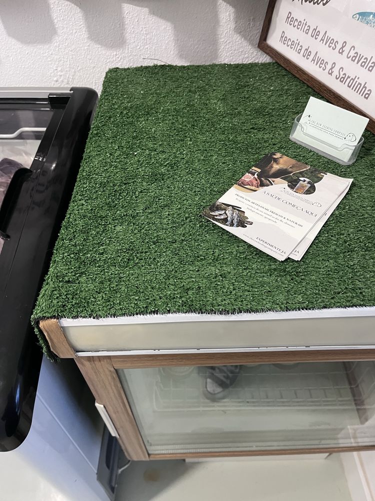 Arca congeladora com vitrine