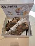 Botki carinii r. 39