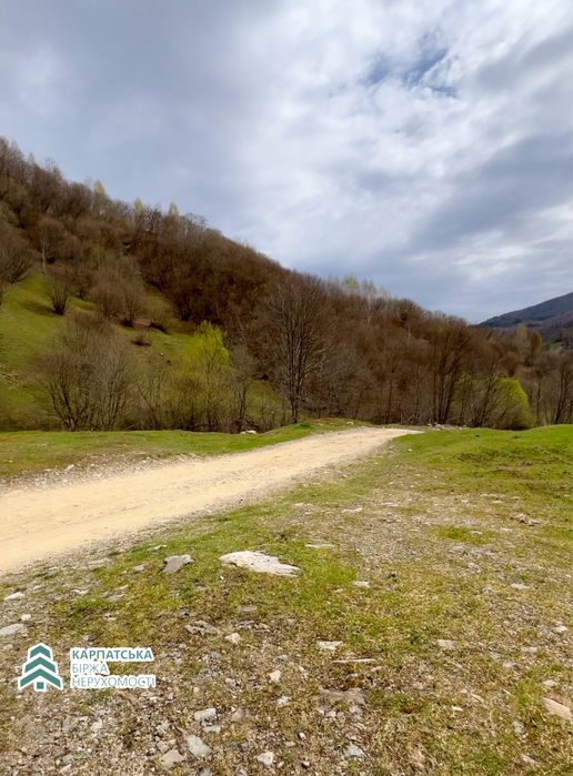 Земельна ділянка в селі Колочава