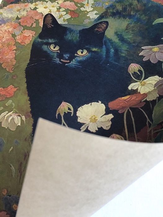 Black Cat & Floral