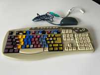 Ergonomiczna klawiatura A4Tech do nauki pisania bezwzrokowego