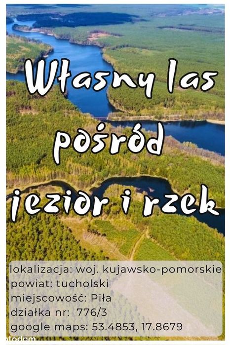 Twój własny kawałek lasu blisko 3 jezior i 2 rzek - w zasięgu spaceru