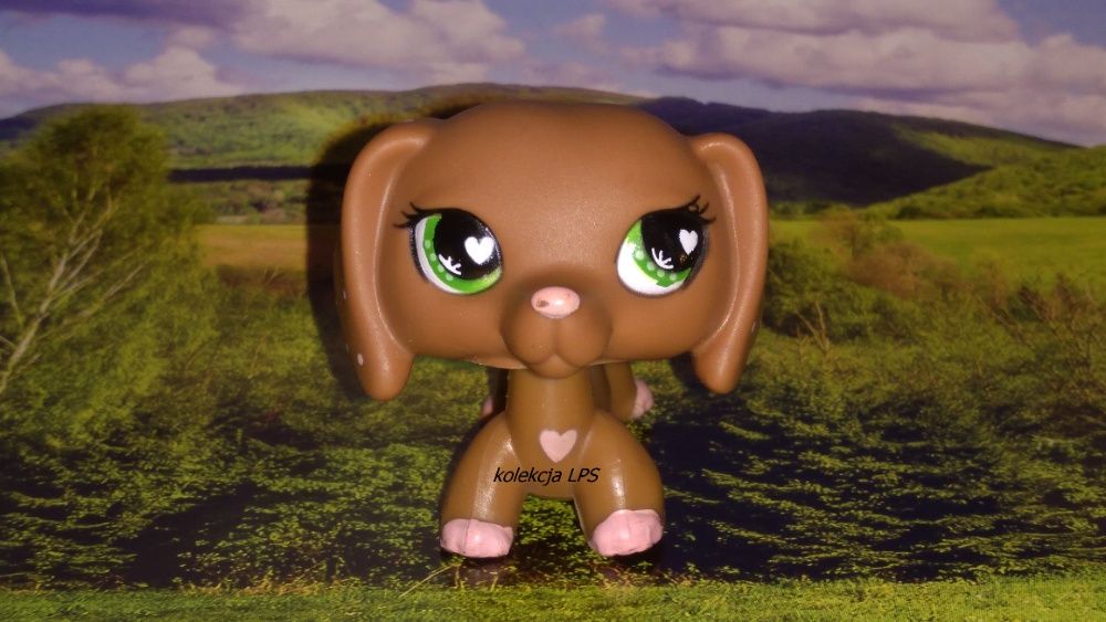LPS Littlest Pet Shop jamnik #556 walentynkowy oryginalny pop oryginał