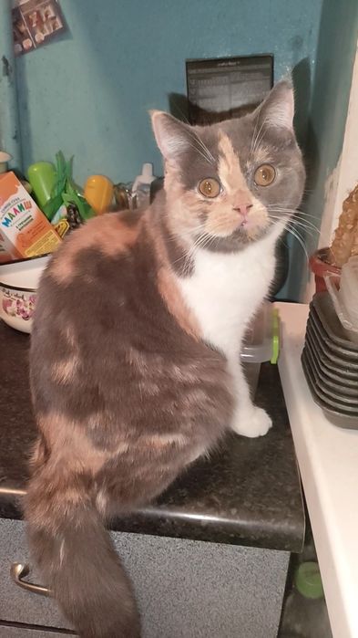 Яркая сочная карамелька. Девочка.