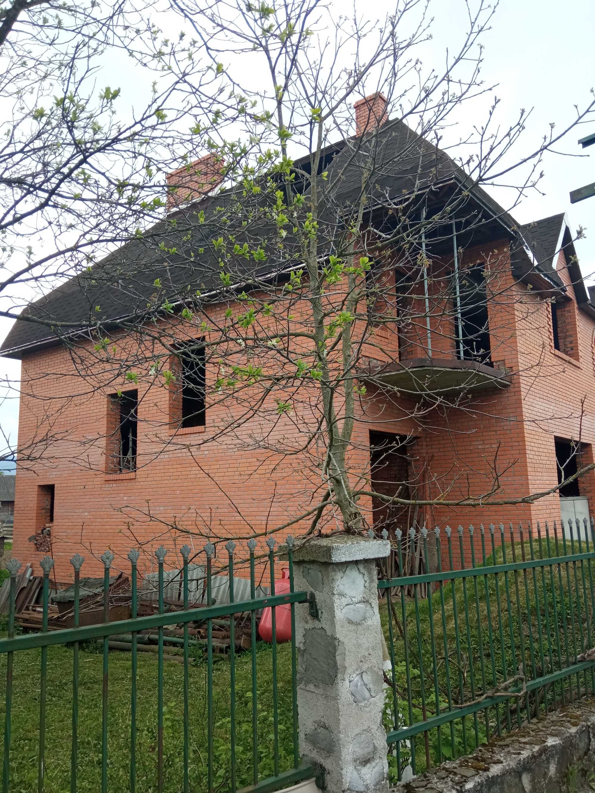 Житловий будинок у Карпатах