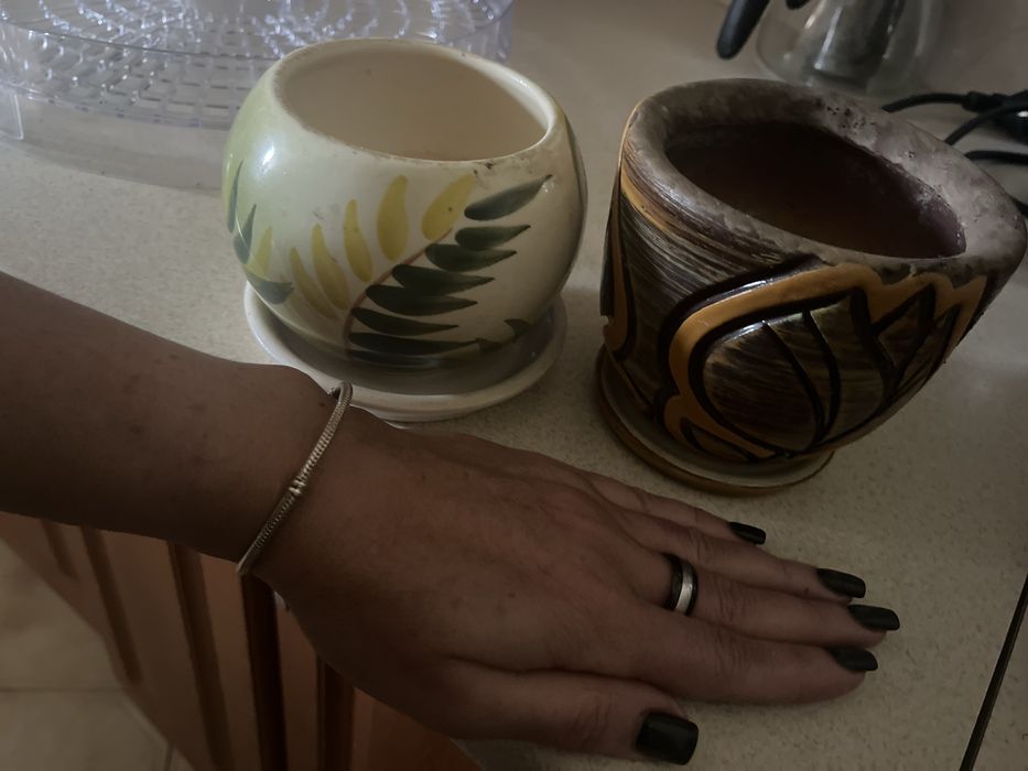 Горщики для кактусів