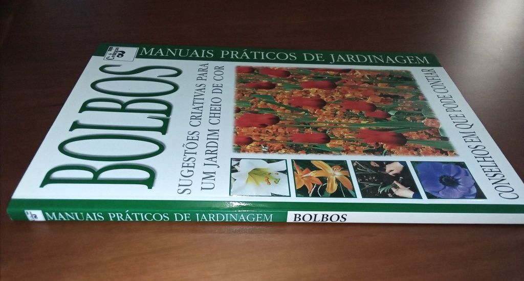 Bolbos - Sugestões Criativas para um Jardim Cheio de Cor