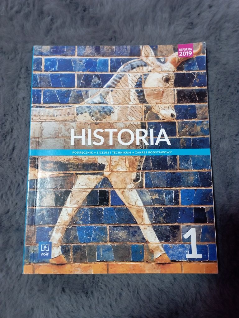 Historia 1 WSiP 2019
