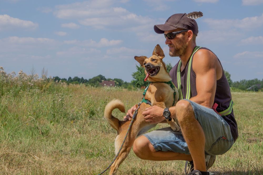 MIA młoda przyjacielska sunia