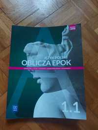Język Polski Oblicza Epok WSiP 1.1 Podręcznik