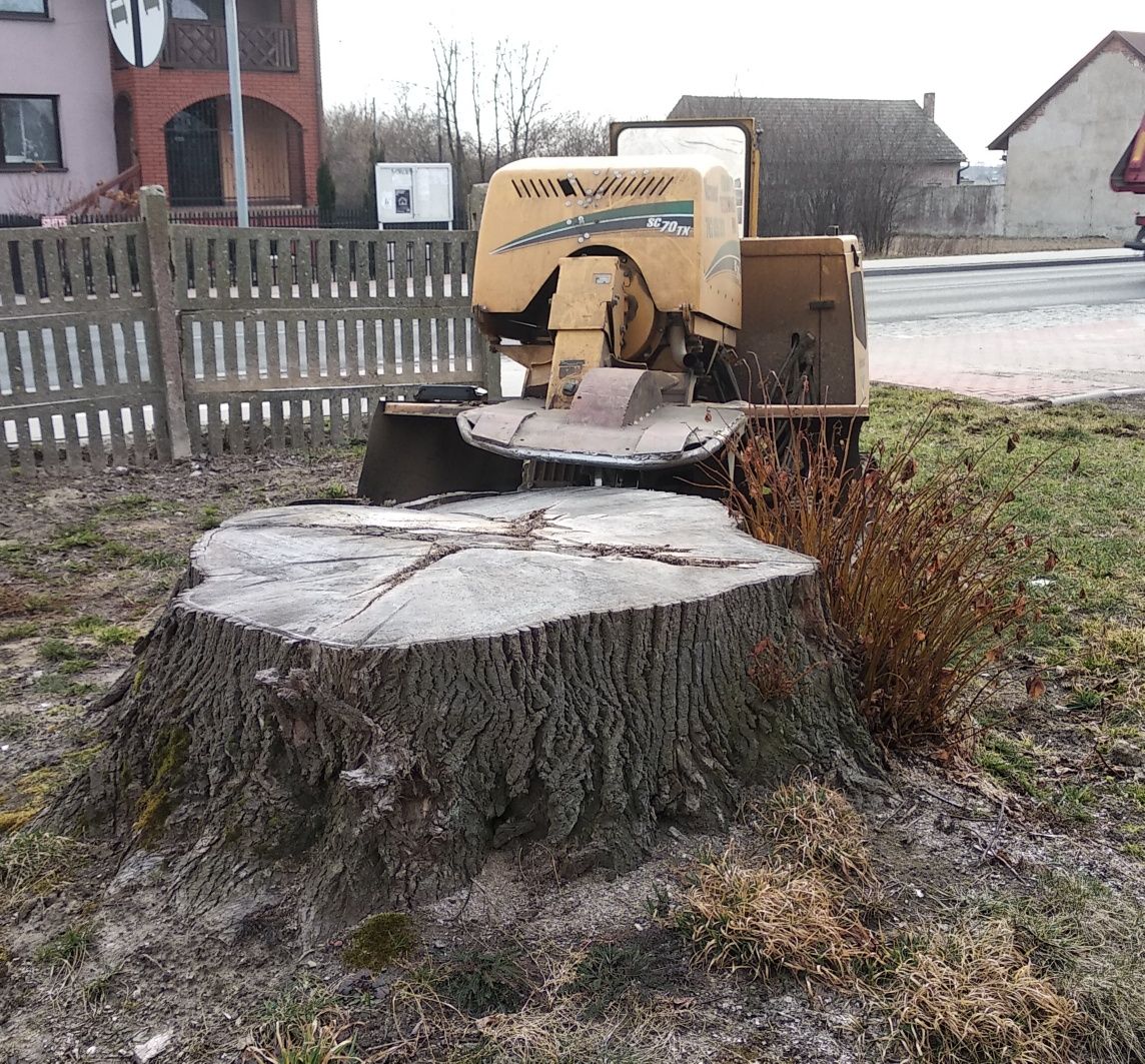 Frezowanie pni drzew  darmowa wycena mulczer gwarancja usługi