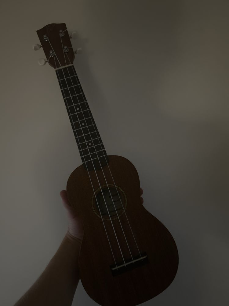 Ukulele mahimahi MS-1ST