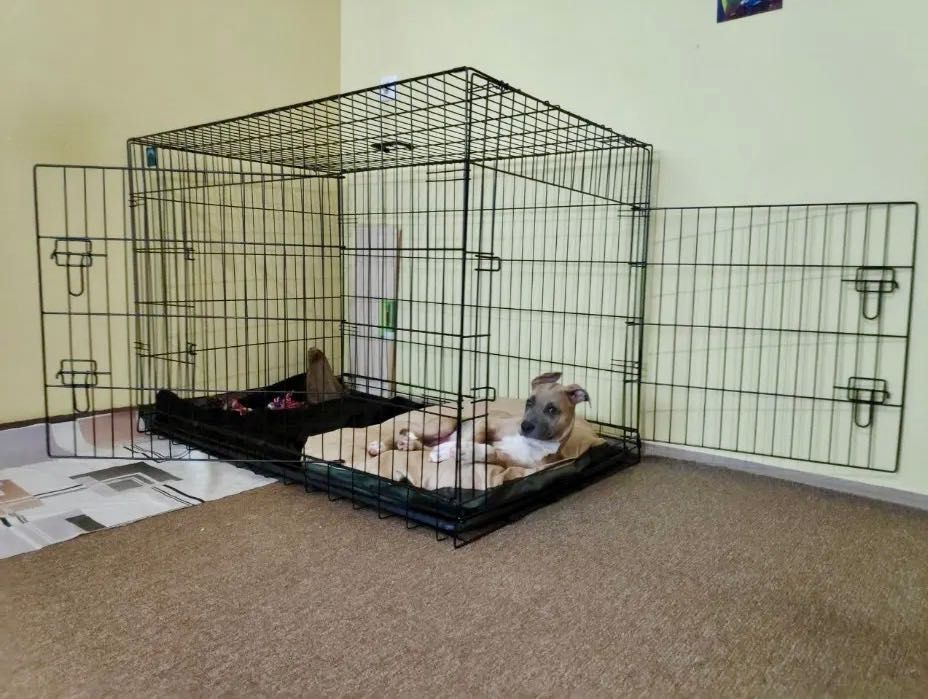 Клітка металева розкладна для собак, котів | Вольер для щенков—НОВИЙ‼️