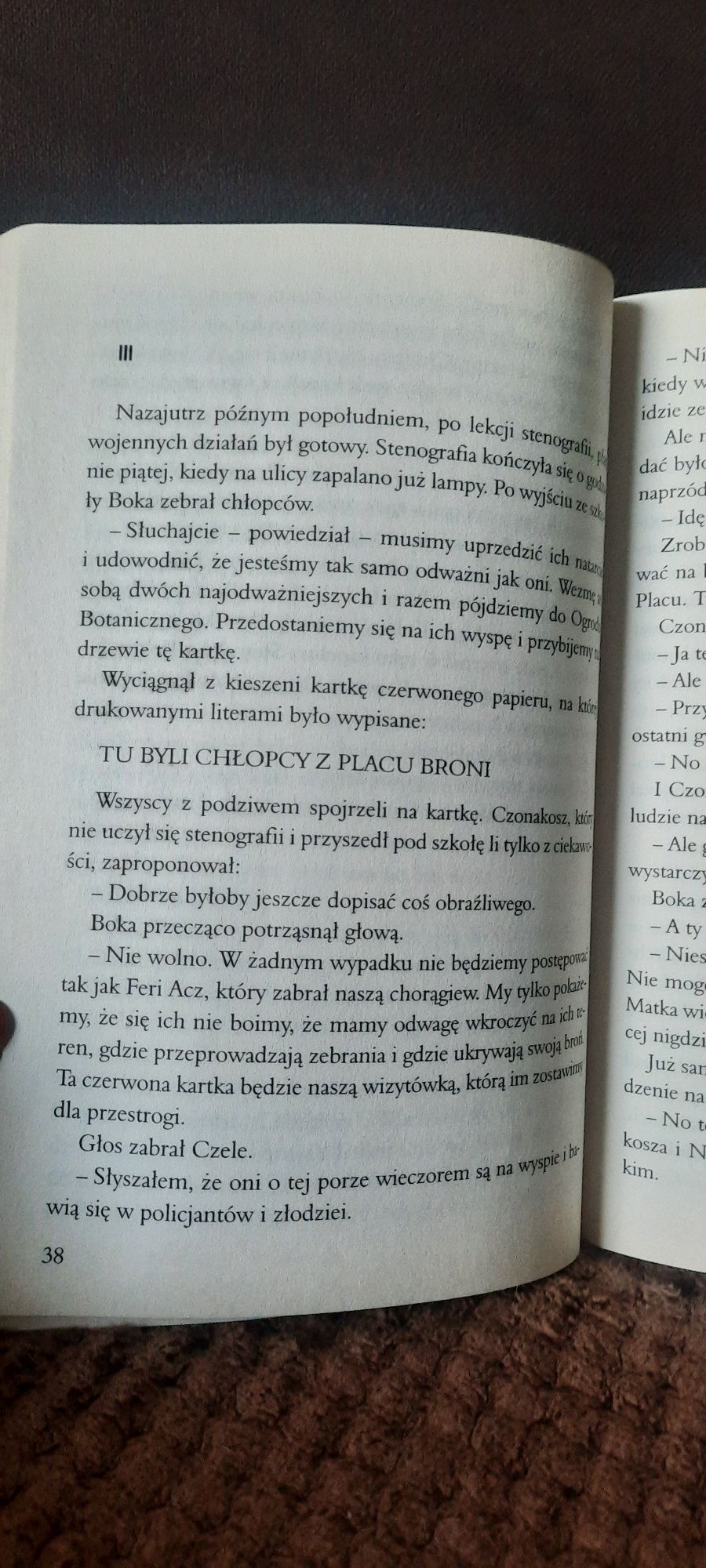 Chłopcy z Placu Broni książka