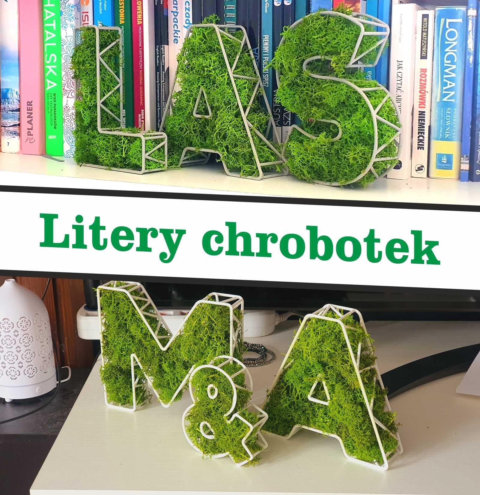 Litera ,inicjały, logo z mchem chrobotkiem – naturalna dekoracja 3D