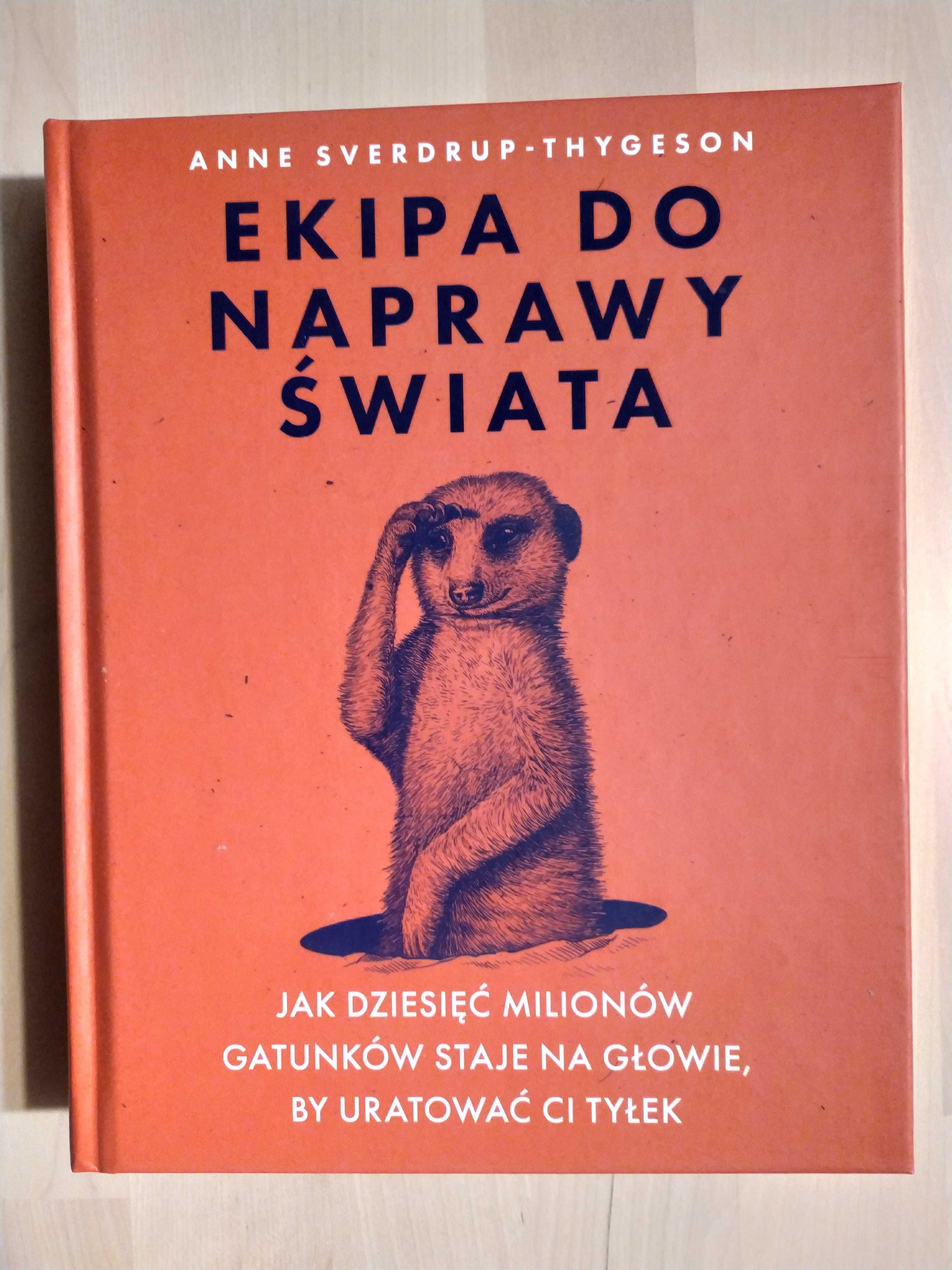 Ekipa do naprawy świata WYSYŁKA 24h