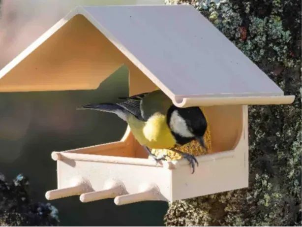 Casa/Comedouro de Pássaros para Janela