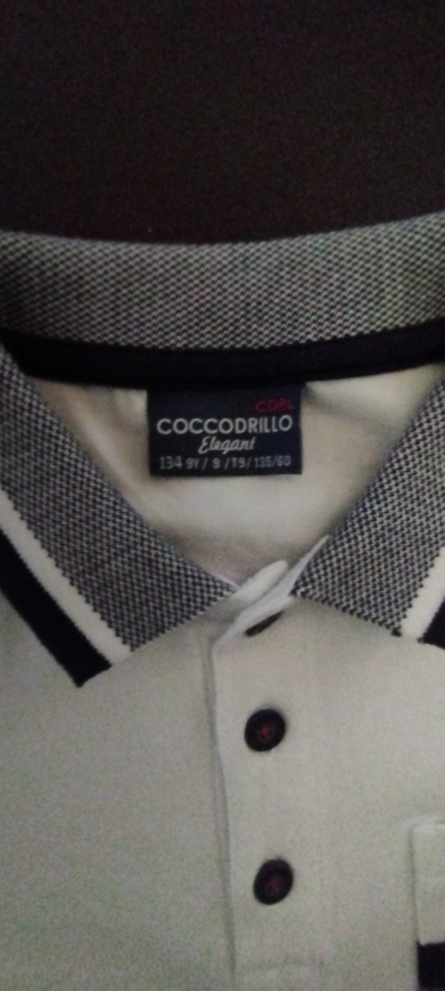 Koszulka krótki rękaw Coccodrillo 134
