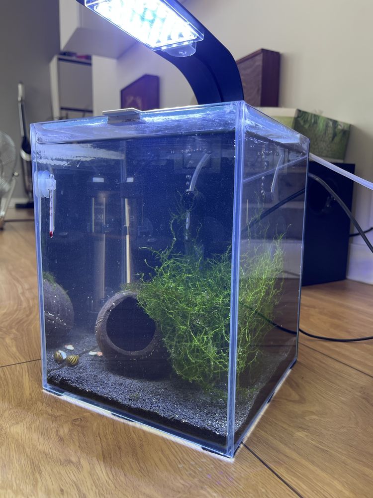 Akwarium / krewetkarium 10L AquaEl