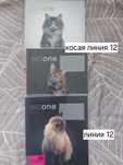 Тетради 12, 18, 24 листа