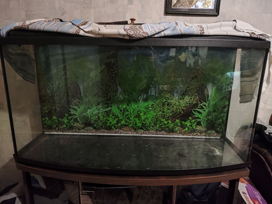 Аквариум большой