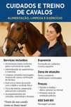 Cuidados e Treino de Cavalos – Alimentação, Limpeza e Exercício