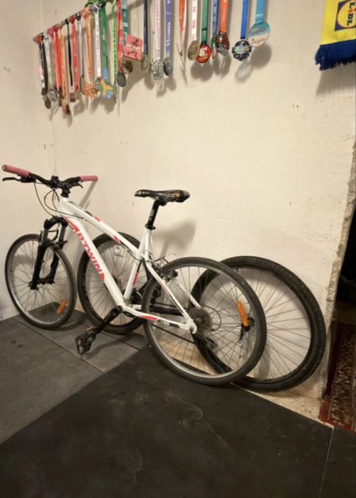 Bicicleta BTT Adulto