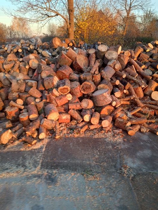 Drewno opałowe sosna modrzew akacja