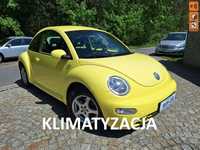 Volkswagen New Beetle