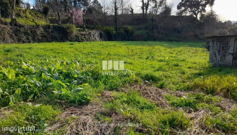 Venda Terreno, Gatão, Amarante