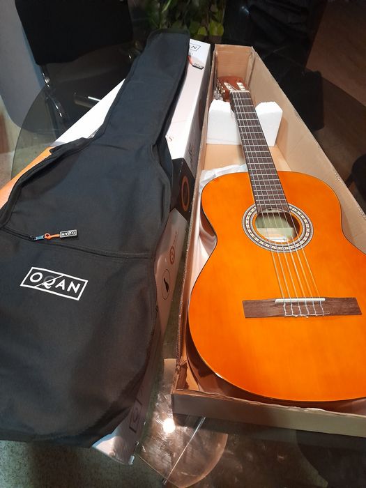 Guitarra do luthier José Torres