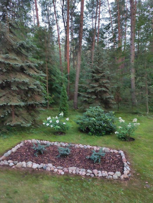 Działka 3082m2 ,z domem  (WILGA)- Doskonała lokalizacja