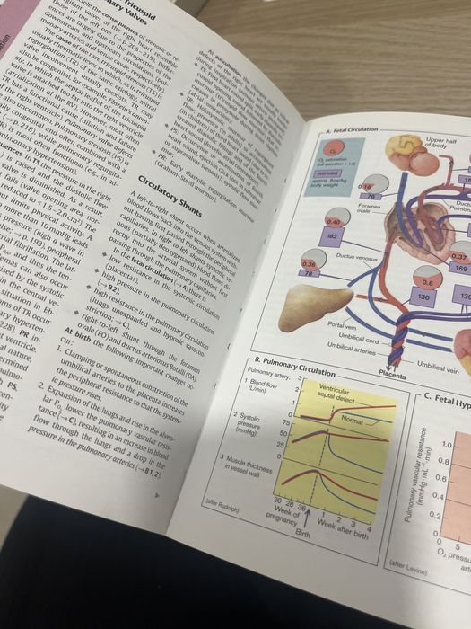Atlas de Fisiopatologia