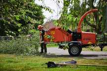 Timberwolf TW 230HBP – rębak hydrauliczny 16cm, silnik benzynowy 37KM