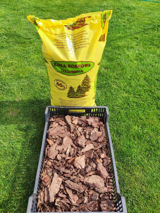 Kora sosnowa średnia niesortowana 60l